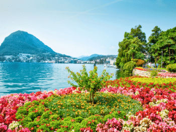 The Luck of the Swiss is Found in Lugano