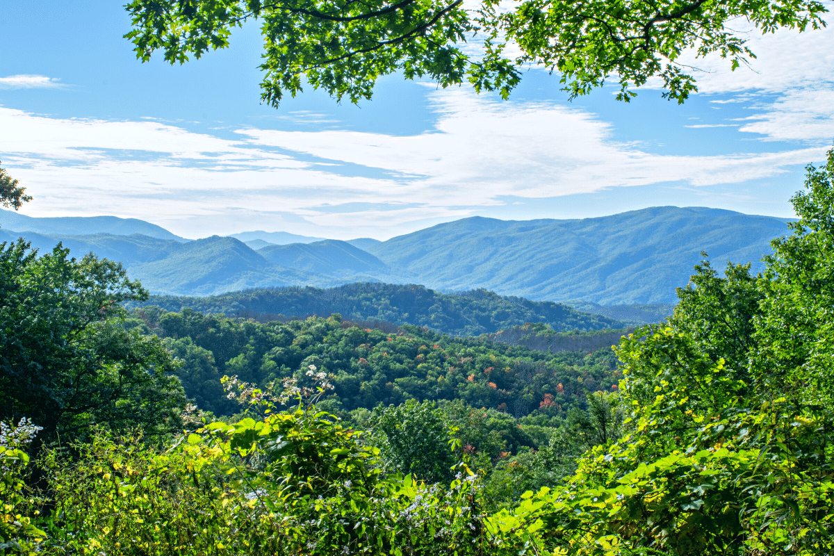The Pull of the Blue Ridge Mountains